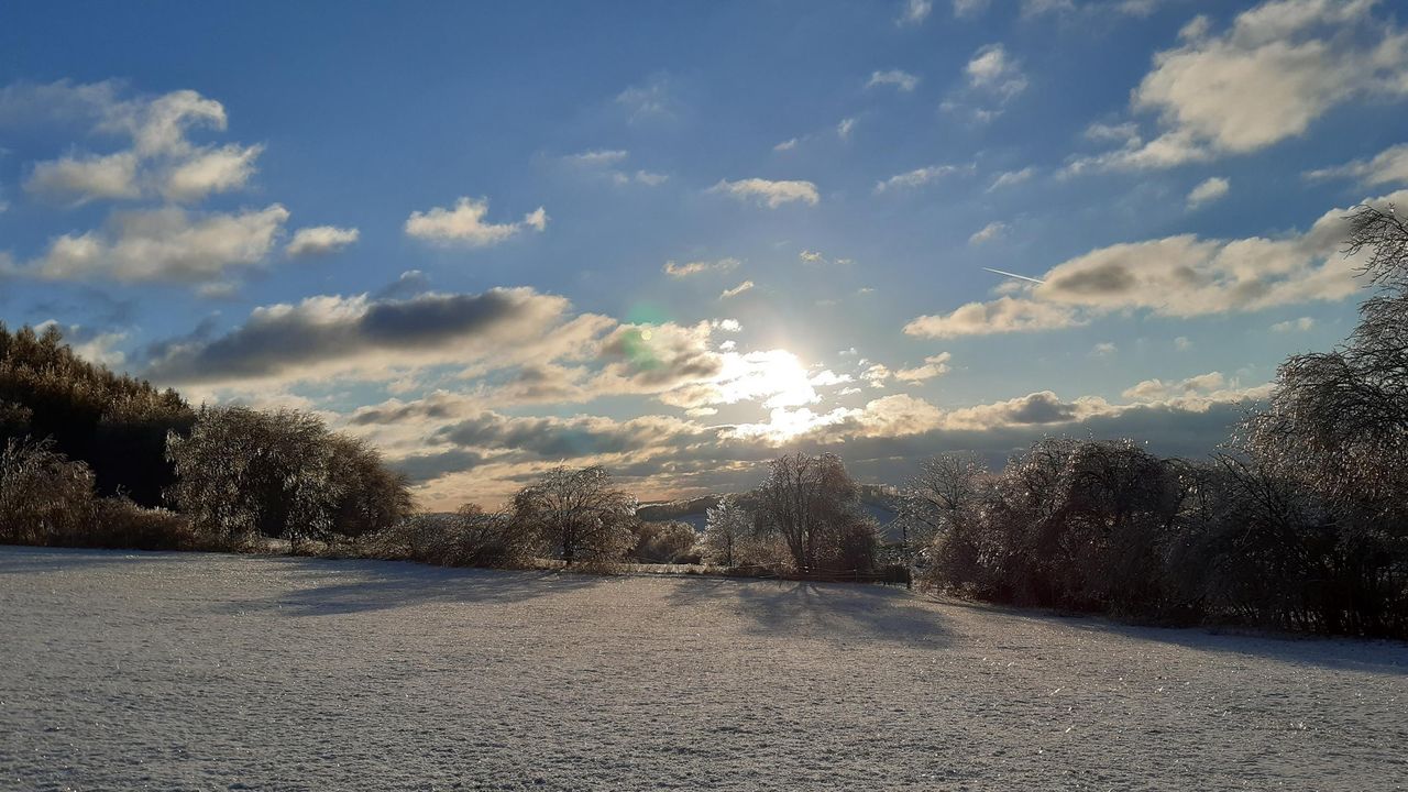 Winter 2020 Winter 2020